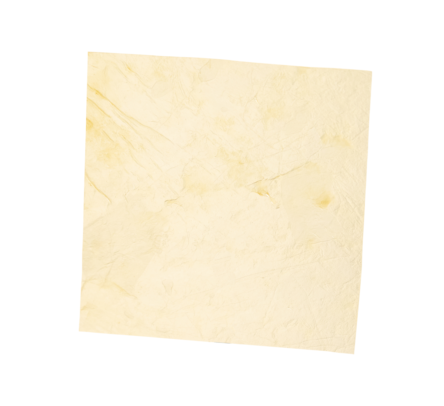 AmnioGain® Amnion-Chorion Sheet