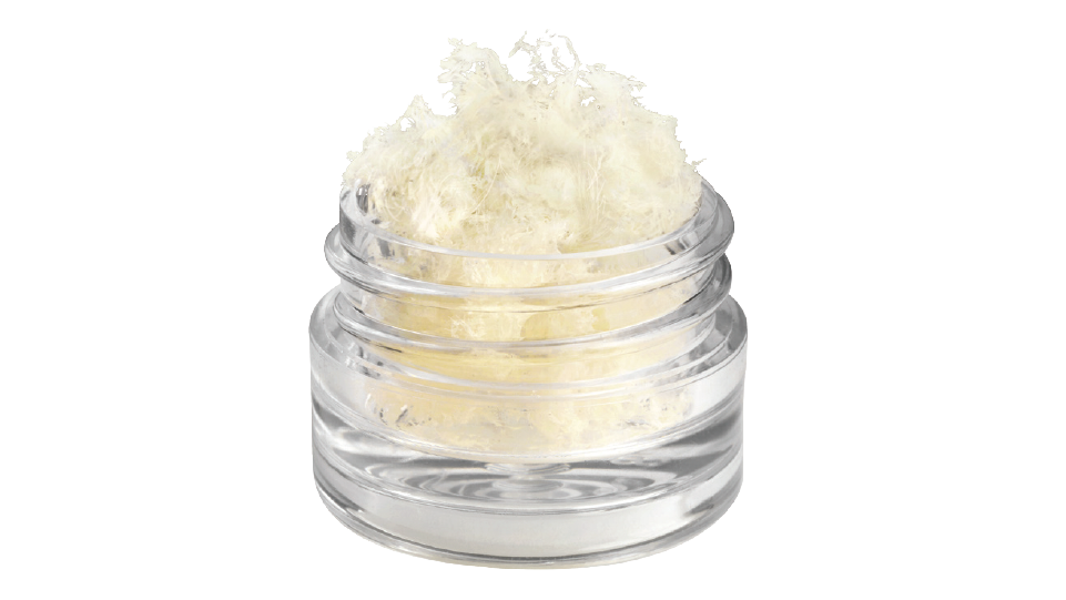 OSSIFY® FiberOss DBM Fiber Bone Graft