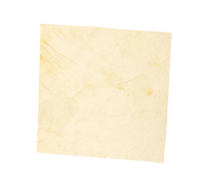 AmnioGain® Amnion-Chorion Sheet