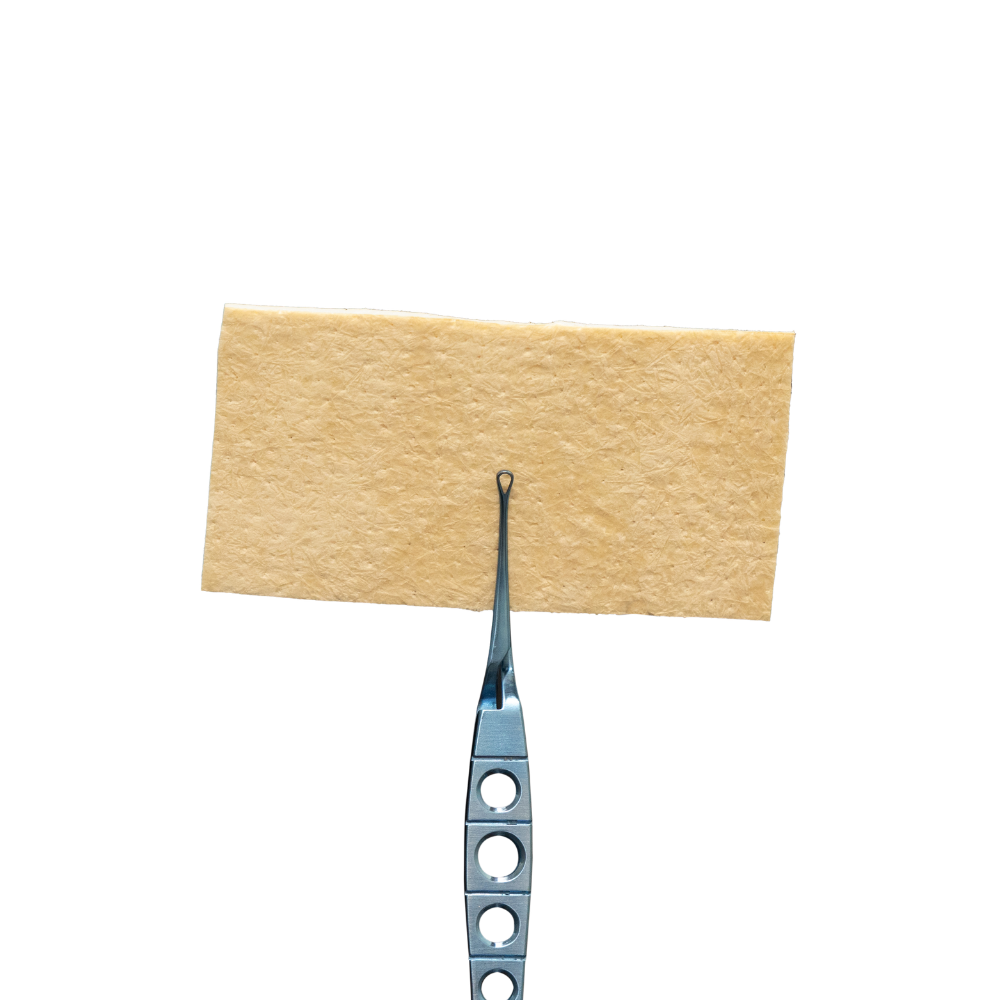 GingiDerm® (1-1.4mm) Acellular Dermis