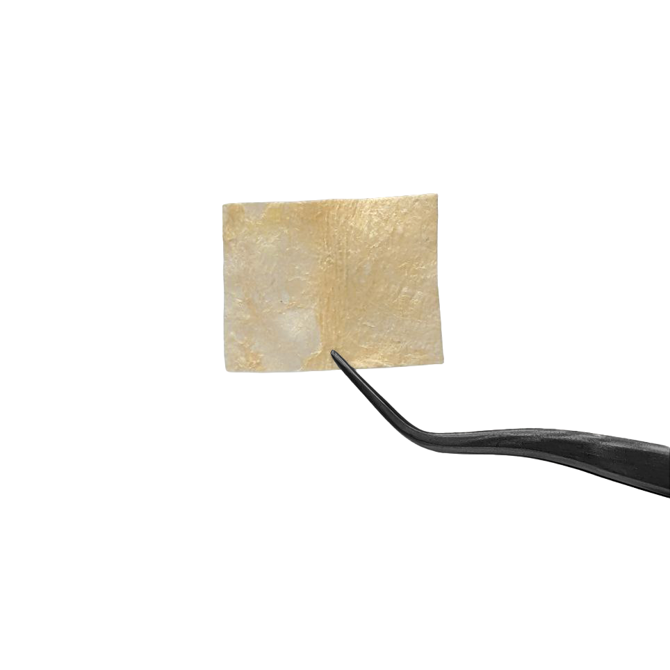 PERISHIELD™ Pericardium Membrane